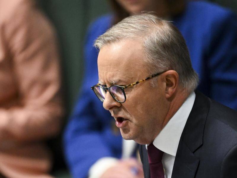 Prime Minister Anthony Albanese wants the states to halve the price of coal used by power stations. (Lukas Coch/AAP PHOTOS)
