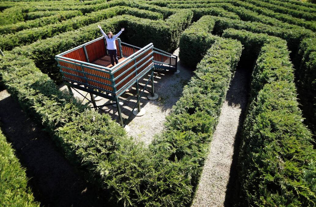 Eryl Neil looks from the centre vantage point over the maze which will open at the property today. Picture: JOHN RUSSELL
