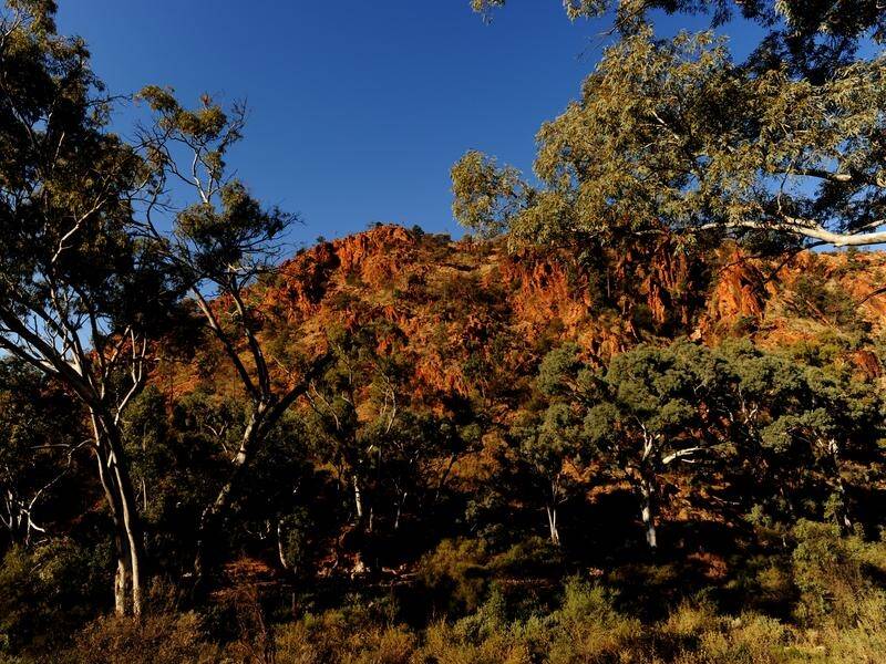 The Flinders Ranges in SA has been nominated for a tentative listing as a World Heritage site.