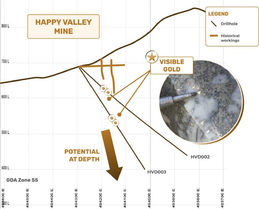 CROSS SECTION THROUGH DRILL HOLES (228O GDA94) SHOWING LOCATION OF VISIBLE GOLD INTERSECTIONS. HVD003 DRILL CORE SECTION (189.00M). Picture: E79 Resourses 