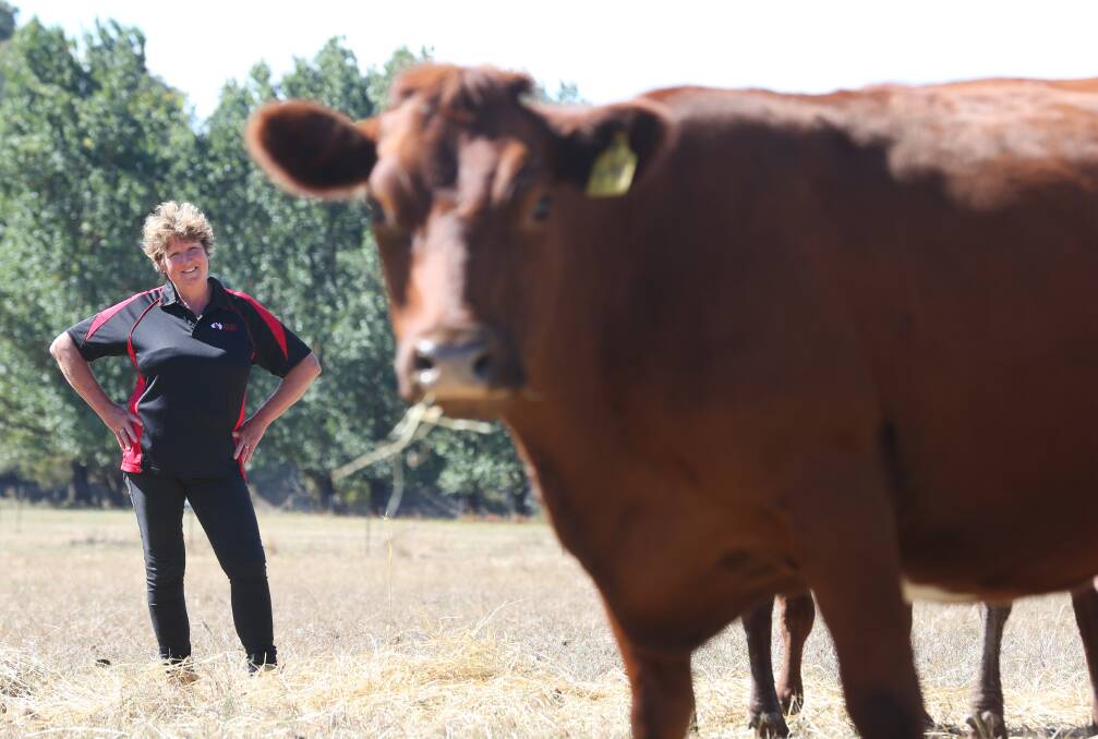 MOO: Karen Moroney with an Australian Red Breed Dairy Cattle, wants the word 'milk' reserved for real milk to protect the reputation of Australian farmers.