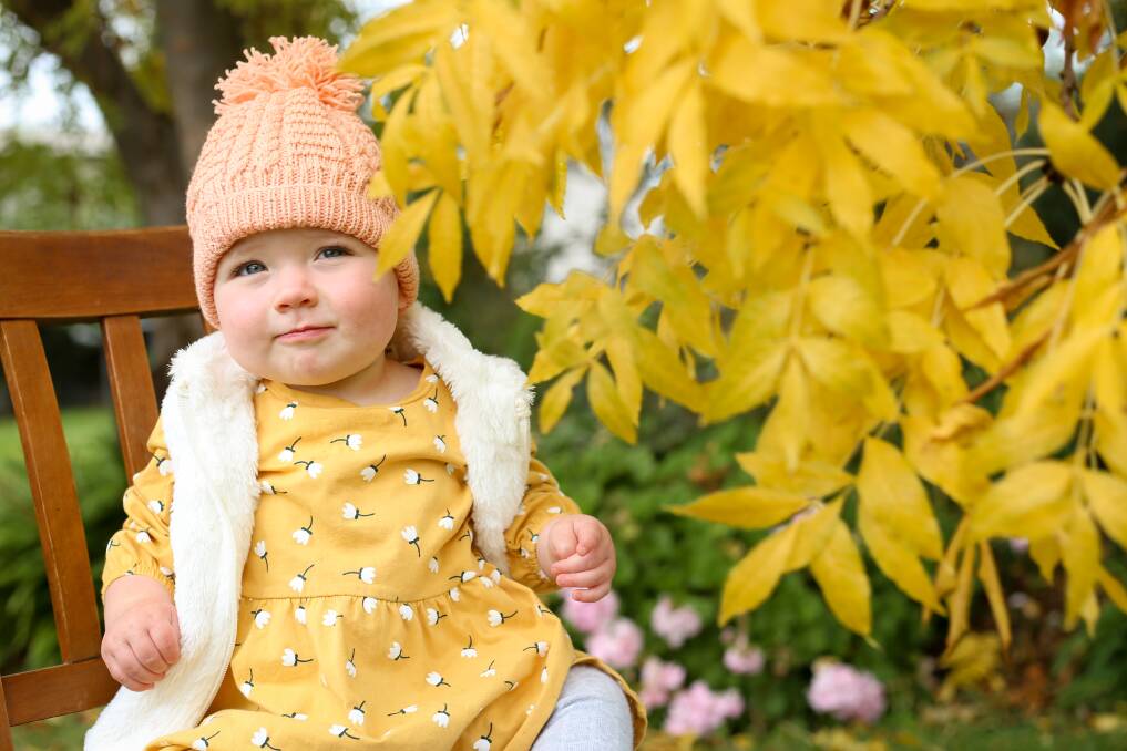 RUG UP: Table Top's Grace Gale, 11 months, enjoying the Autumn leaves. The Bureau of Meteorology have predicted a cool change later this week which will bring rain and snow to the region. Picture: JAMES WILTSHIRE