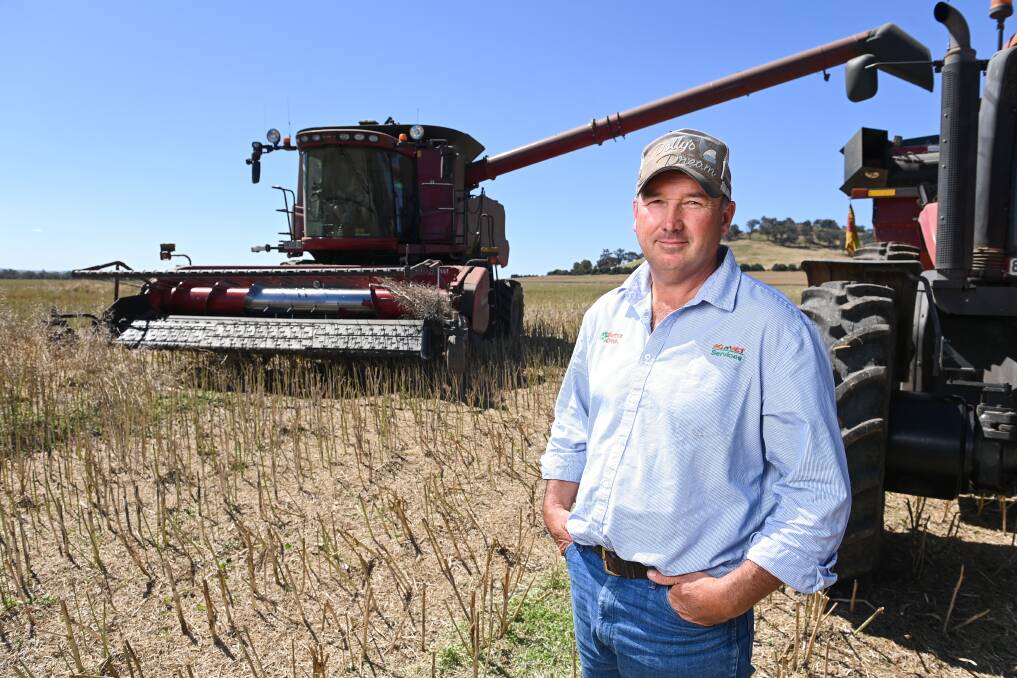 UNFORTUNATE: Nathan Soulsby, agronomist with AGnVET Services in Henty, says rain has damaged crops across the region, hitting farmers' bottom line. Picture: MARK JESSER 