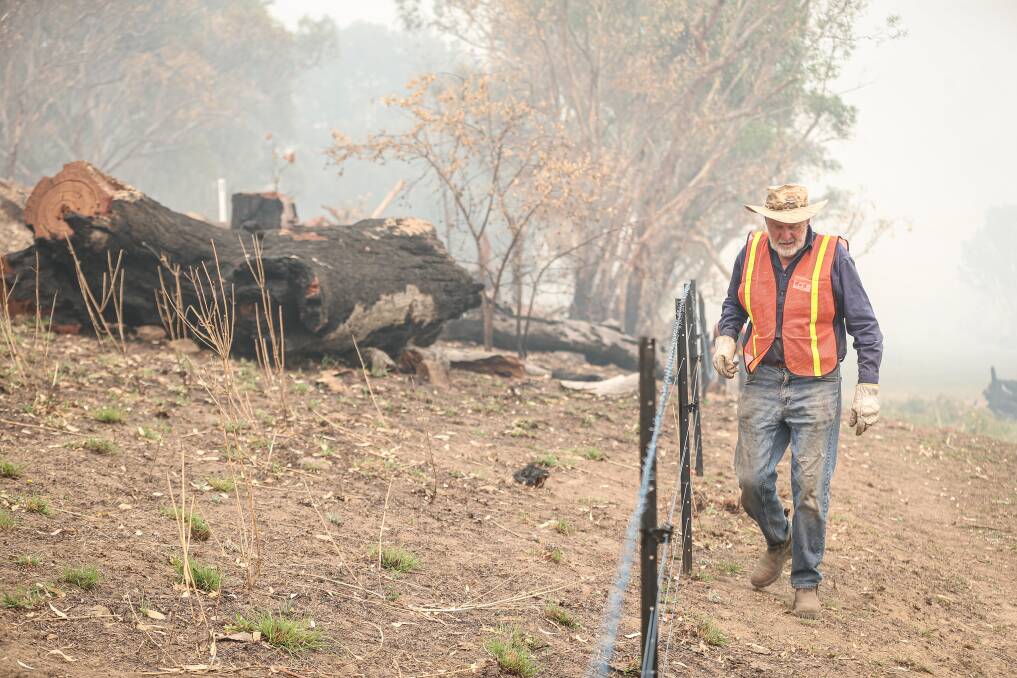 DEDICATED WORK: A Blaze Aid volunteer checks a fence line in Jingellic during a previous camp in February. Picture: JAMES WILTSHIRE 