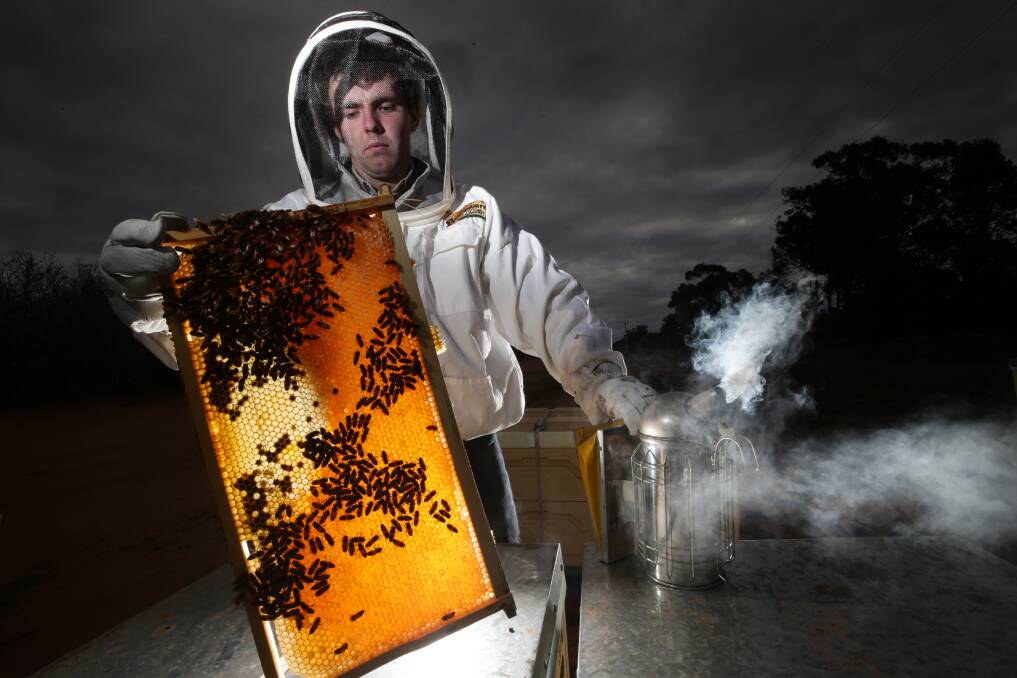 GOLDEN: Ben Goldsworthy of Beechworth Honey looks at some of their hives. The company is competing with brands which might not be 100 per cent honey. 