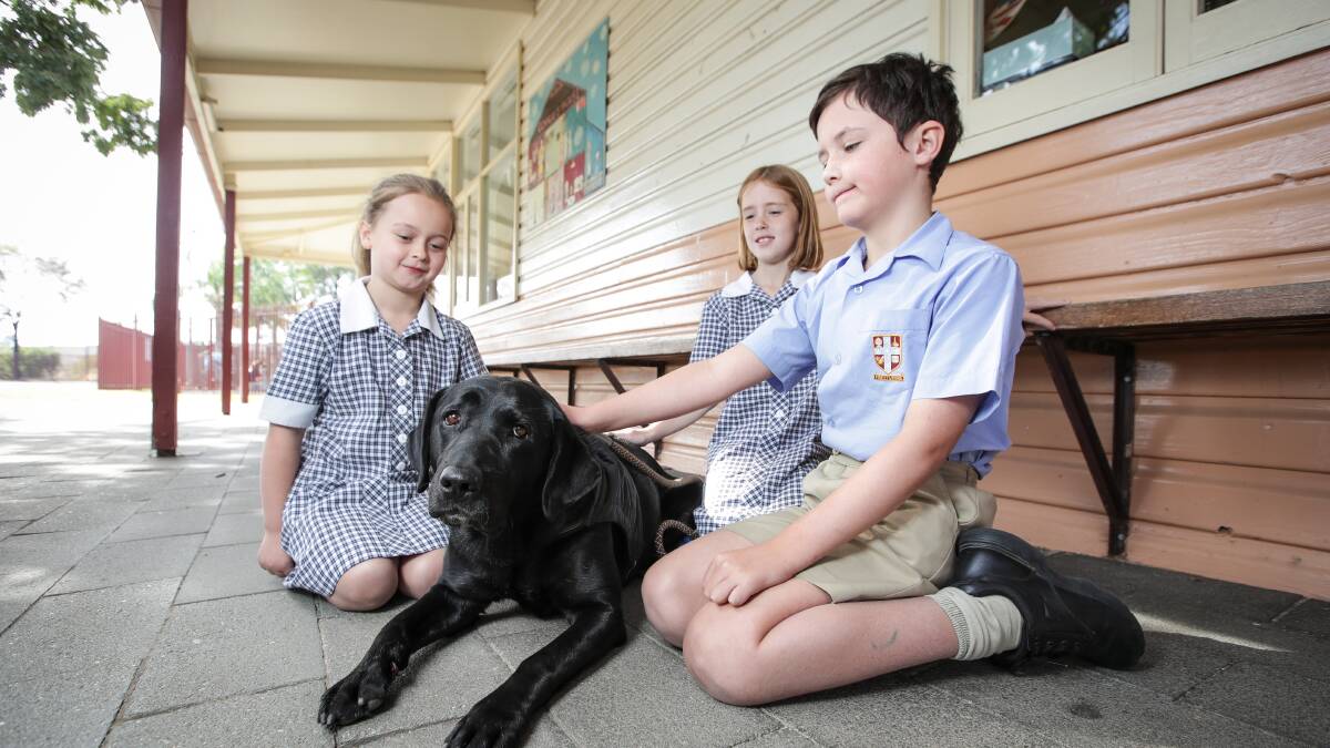 Teacher's pet helps students on 'ruff' days at school