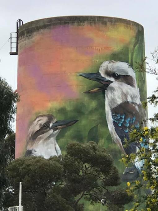 DAY: Two kookaburras. Picture: SUZY KEYS, Deniliquin and District Historical Society