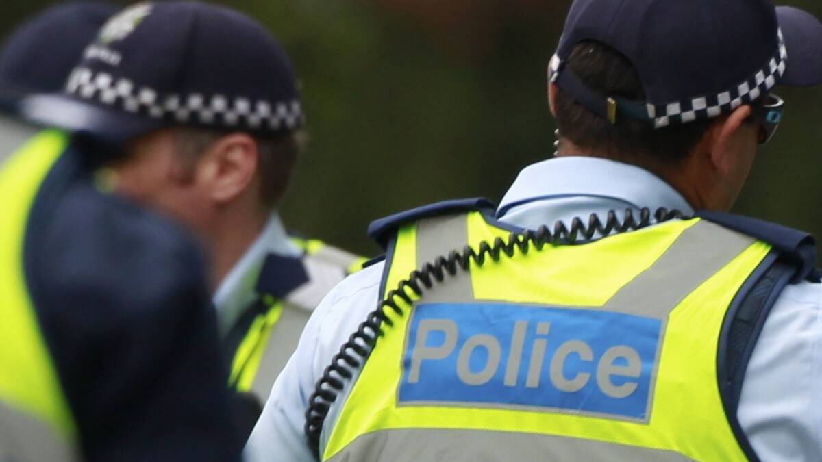 Man allegedly assaulted seven police officers during arrest