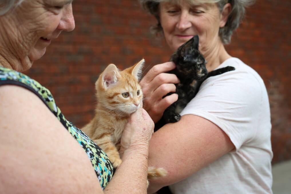 HOPEFUL: Albury Wodonga Animal Rescue's Rae Smith with Clyde and Lorraine Webb with Claire. The rescue hope they won't see the usual post-Christmas influx of dumped 'present pets'. Picture: JAMES WILTSHIRE

