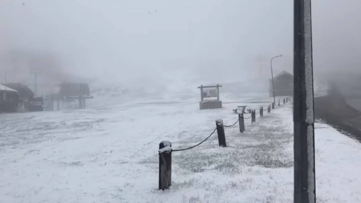 Picture: Mt Hotham Video 