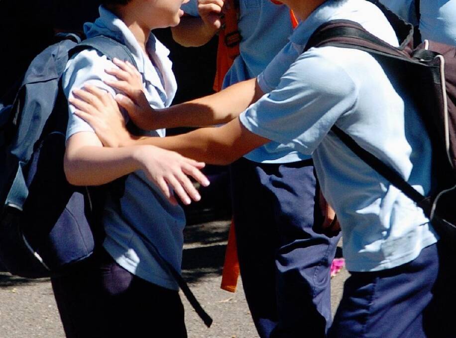 SHOCK: Police were called to schools in the Albury district 15 times in 2018 to respond to incidents including violence against staff, animals and students. Picture: FILE IMAGE