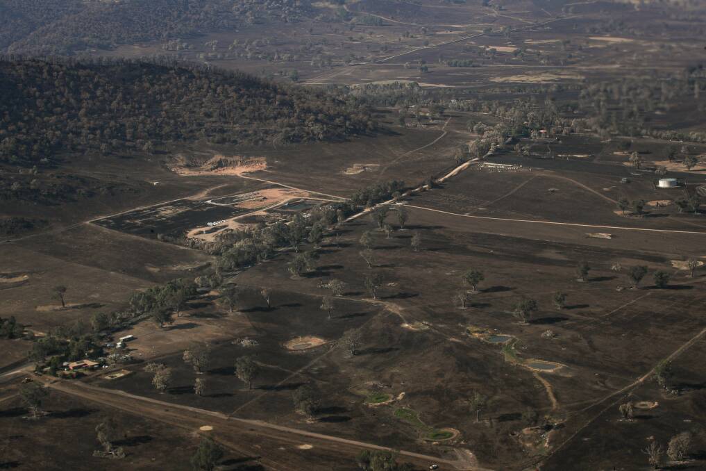 DEVASTATED: Farmland outside Corryong in the wake of the fire. Upper Murray leaders have expressed concern ahead of the coming bushfire season. Picture: JAMES WILTSHIRE
