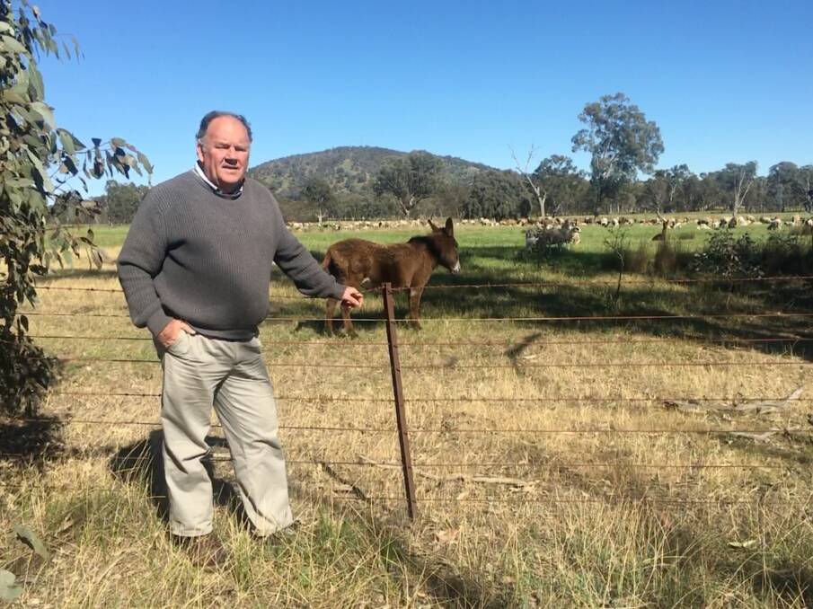 SILVER AND GREEN: TAFE NSW National Environment Centre's head teacher Rob Fenton with Barbara the donkey who for 18 years has warded off wild and domestic dogs. 