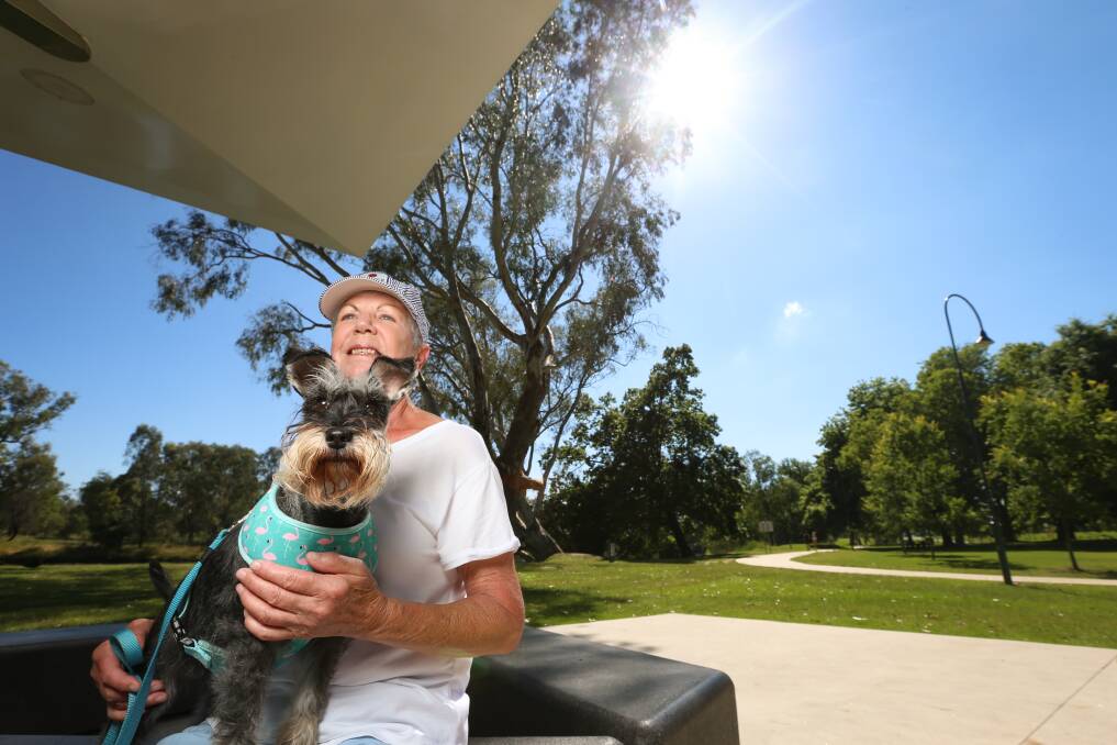 COOL OFF: Ettamogah's Marion Wallace with dog Gretel find a shady spot in Noreuil Park. Residents are expected to flock to waterways this week with the temperature expected to 40 degrees in some parts. Picture: JAMES WILTSHIRE