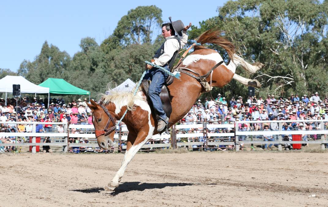 CROWD FAVOURITE: Morgan Webb from Tumut in the Kosciuzko Stock Saddle Buckjump during The Man from Snowy River Festival in 2019. The 2020 festival has been postponed due to coronavirus fears with organisers hopeful it can run in September.