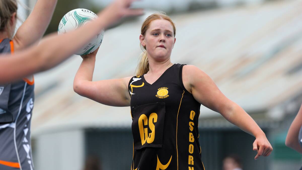 Hume League Netball 2019: gains, losses, and prospects