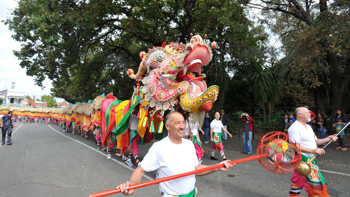 BENDIGO: Bendigo Advertiser Gala Parade. Sun Loong exits the Golden Dragon Museum before the parade. Photo: JIM ALDERSEY, Bendigo Advertiser.
