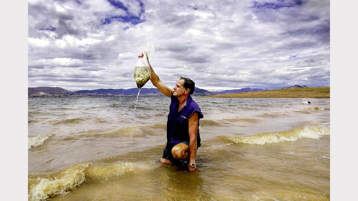 Lake Hume - Ludlow's Reserve. Recreational fisherman Les 'Bricky' Franks from Tallangatta assists Fisheries Victoria in releasing 30,000 murray cod fingerlings. Picture: KATE GERAGHTY