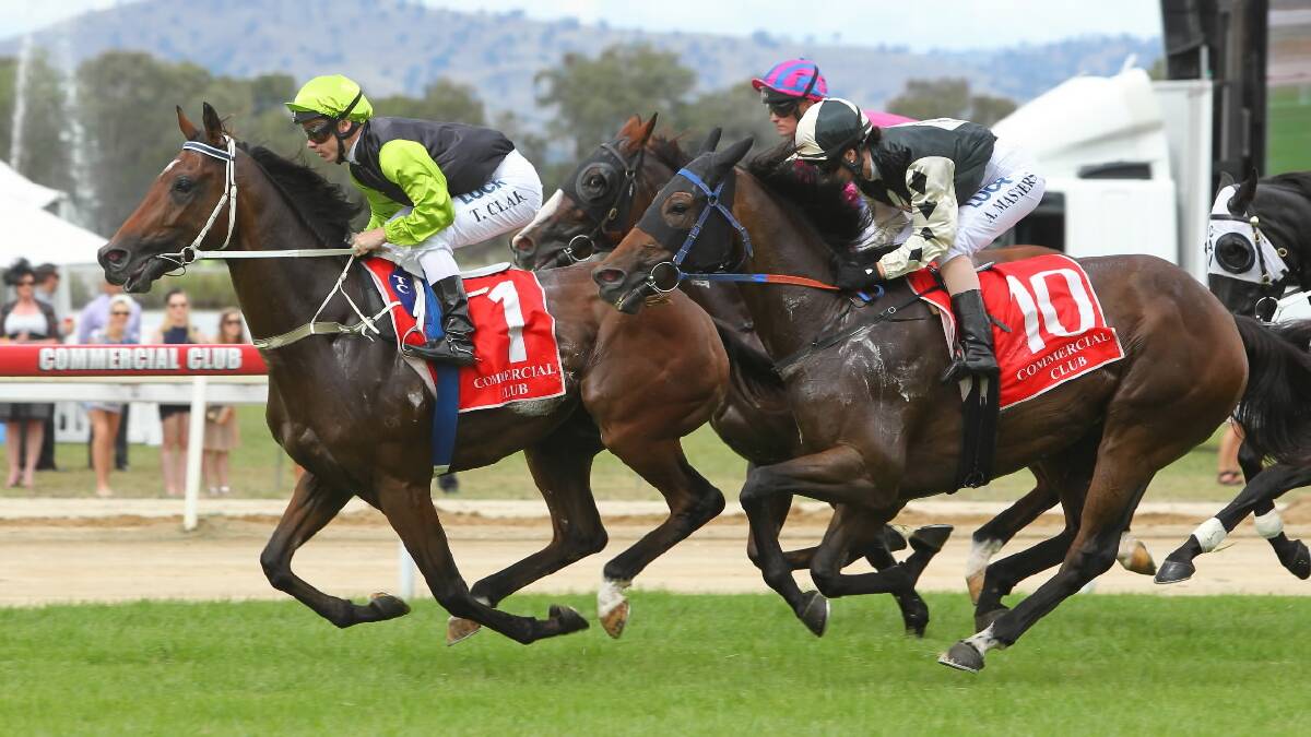 LIVE COVERAGE: 2014 Albury Gold Cup