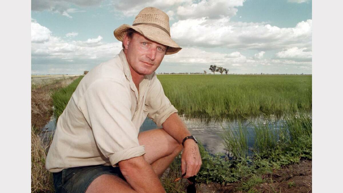 Deniliquin farmer Lockey Stevenson will be watching his rice crop closely for the next couple of weeks. Picture: DALE WEBSTER