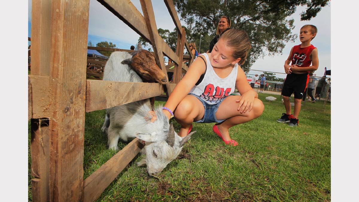 Wodonga's Chloe Donovan with a friendly goat.