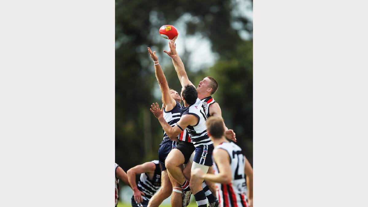 Click or flick across for more action photos in sport. Pictures: KYLIE ESLER, DAVID THORPE, MATTHEW SMITHWICK and DYLAN ROBINSON