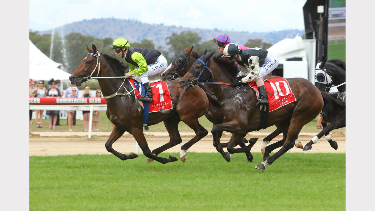 Click or flick across to see more pictures from the 2014 Albury Gold Cup.