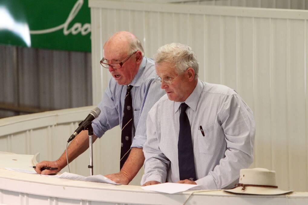 Selling agents John Atkins and Ken Lewis auction cattle at the Premier Murray Grey Sale in Wodonga last year. Picture: MARK JESSER
