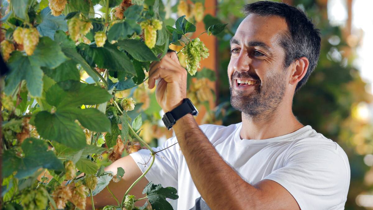 The inaugural High Country Hops Festival will be held at Bridge Road Brewery on Saturday.