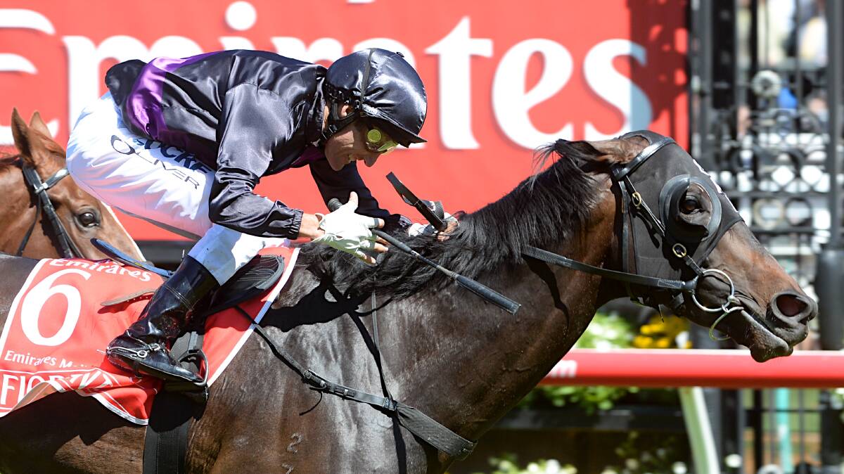 The 2013 Melbourne Cup won by Fiorente ridden by Damien Oliver. Picture: FAIRFAX