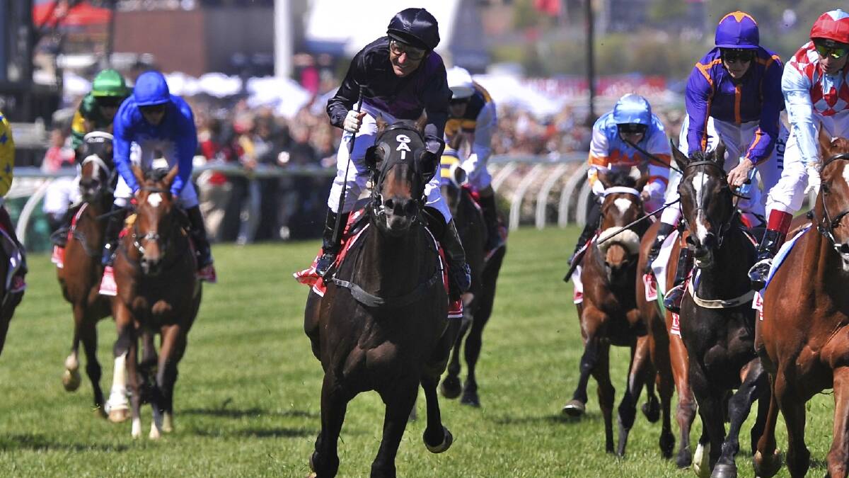 Winner of the 2013 Melbourne Cup is Fiorente, ridden by Damien Oliver. Picture: FAIRFAX