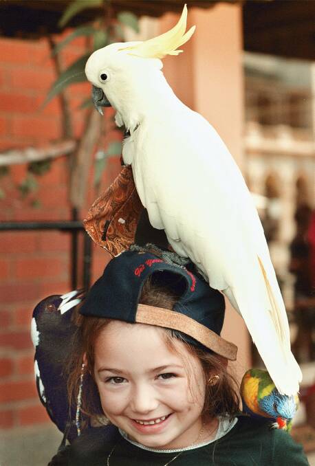 Albury's Madison Dormer, 7, gets up close and personal with a magpie, cockatoo and lorikeet courtesy of Colin Younger and Birds at the Golden horseshoe festival. Picture: CHRIS McCORMACK