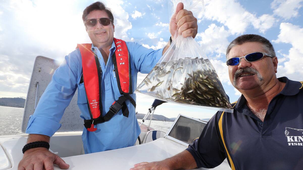 Bill Tilley and Garry Simonis helped drop 58,000 Golden Perch into Lake Hume. Picture: JOHN RUSSELL