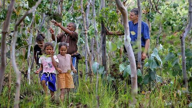 New shoots: Tony Rinaudo with Manuel Da Silva and some of his children near Aileu in East Timor. Photo: Angela Wylie