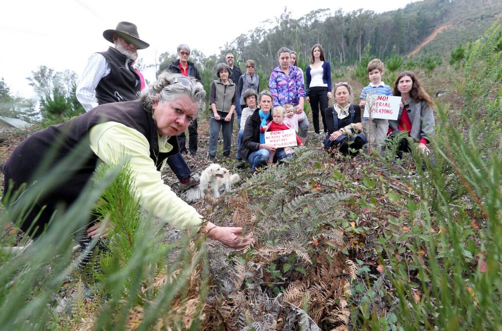 Cheryl Long is one of many residents of the Bright area angry that pine plantations will be sprayed with herbicides without many people not being informed. Picture: JOHN RUSSELL
