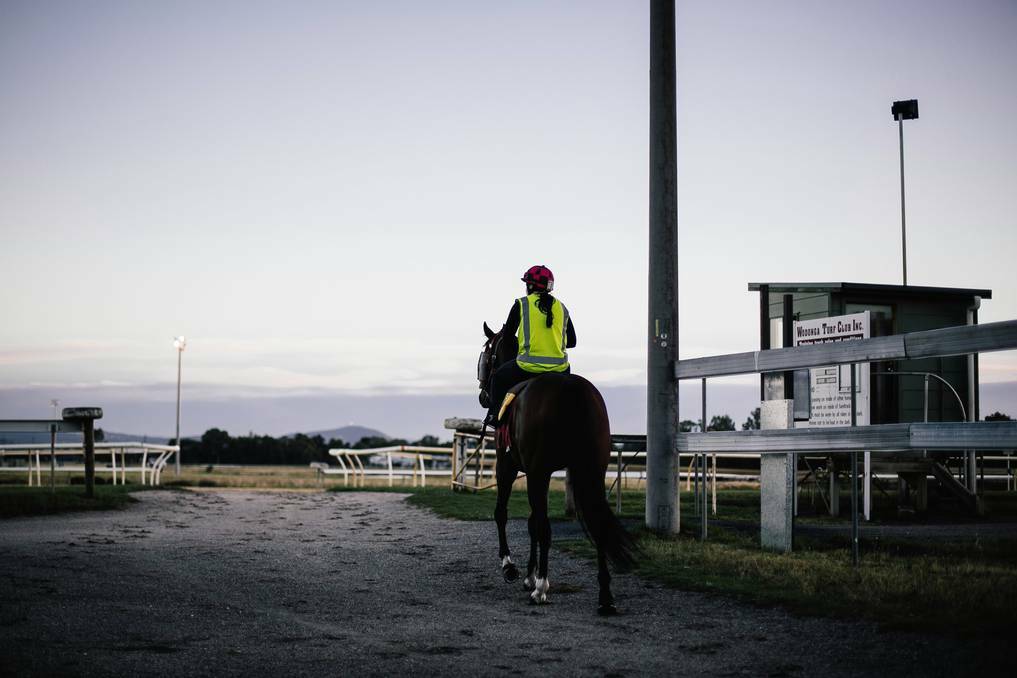 Trackwork rider Vicky Scott takes Sylvia Thompson’s Wodonga Gold Cup hope Allelu onto the track early yesterday for last-minute preparations ahead of tomorrow’s big race. 