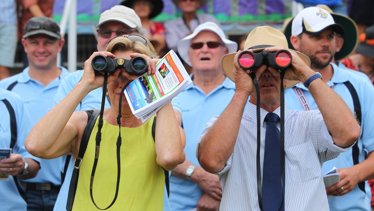 All eyes were on the horses for the last race of the day at the Towong Cup.