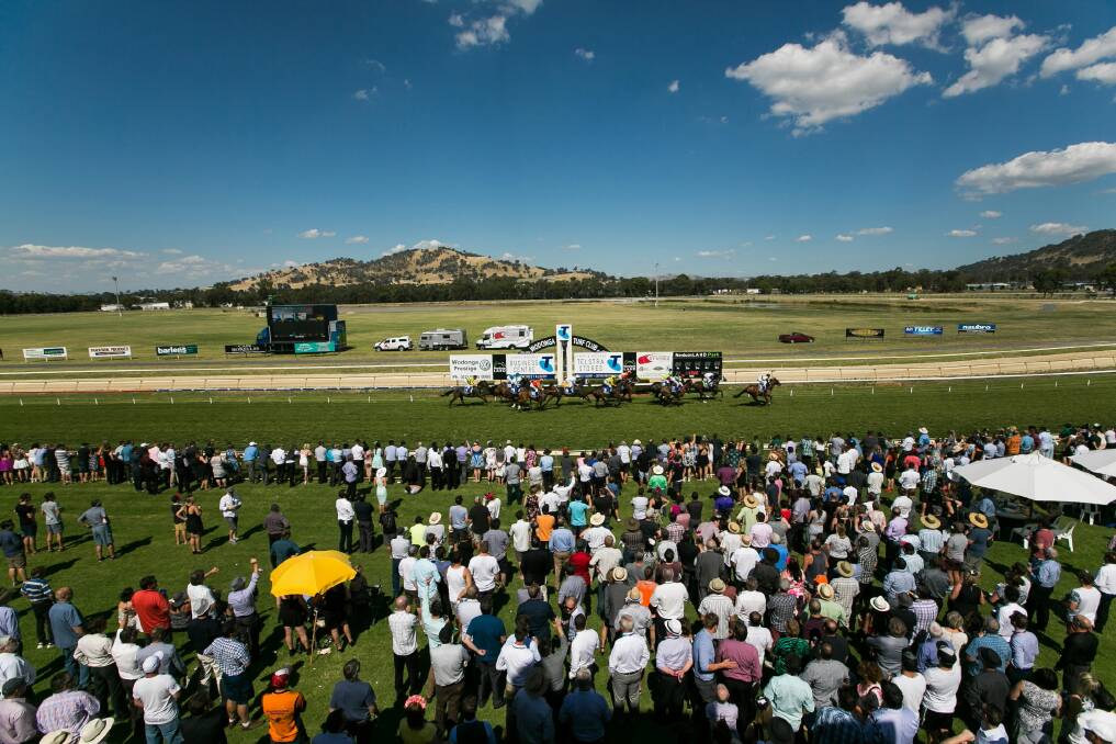Wodonga Cup's public holiday was declared a success. Picture: DYLAN ROBINSON