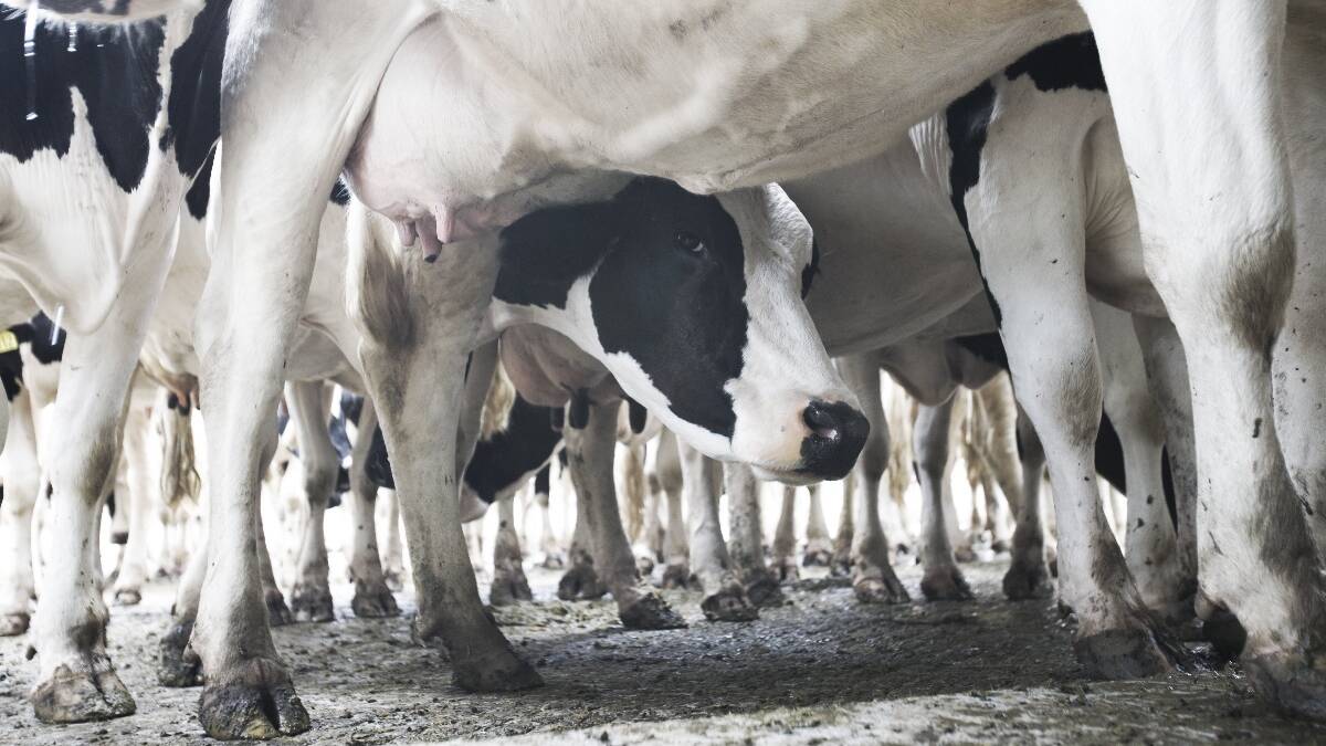 Second strike at Murray Goulburn dairy sites