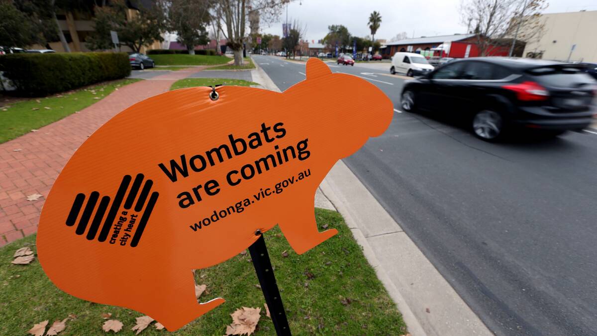 Flashing light for wombats