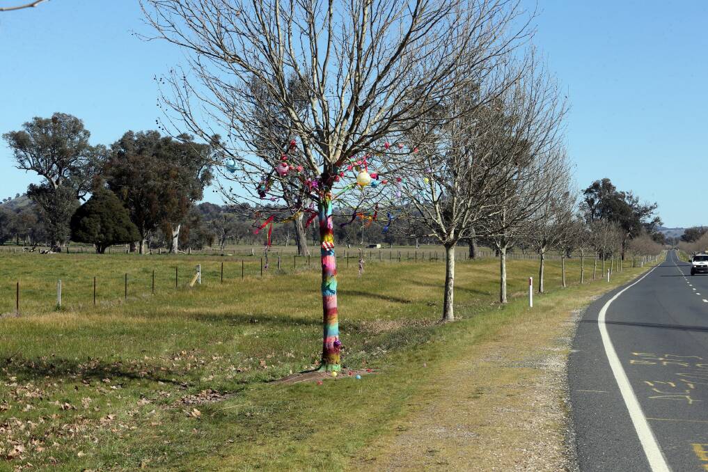 The tree dedicated to Emily and Brooke Salske was targeted by vandals again at the weekend.