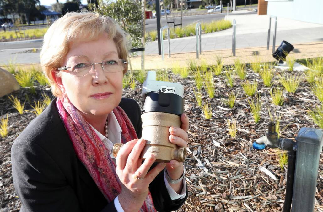 Executive manager of customer and community relations at North East Water, Ann Telford, with a water meter. The end can be fitted with a restrictor. Picture: PETER MERKESTEYN