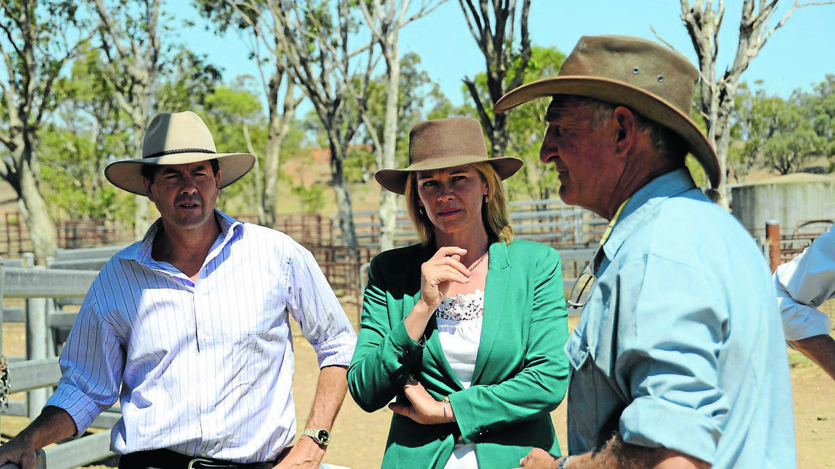 NSW Minister for Primary Industries Katrina Hodgkinson visits a farmer in Somerton, near Gunnedah. - The Namoi Valley Independent.
