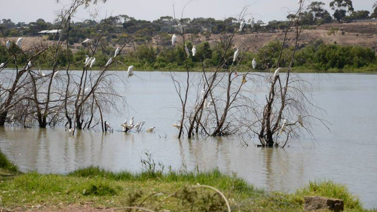 Murray-Darling Basin Plan fight over