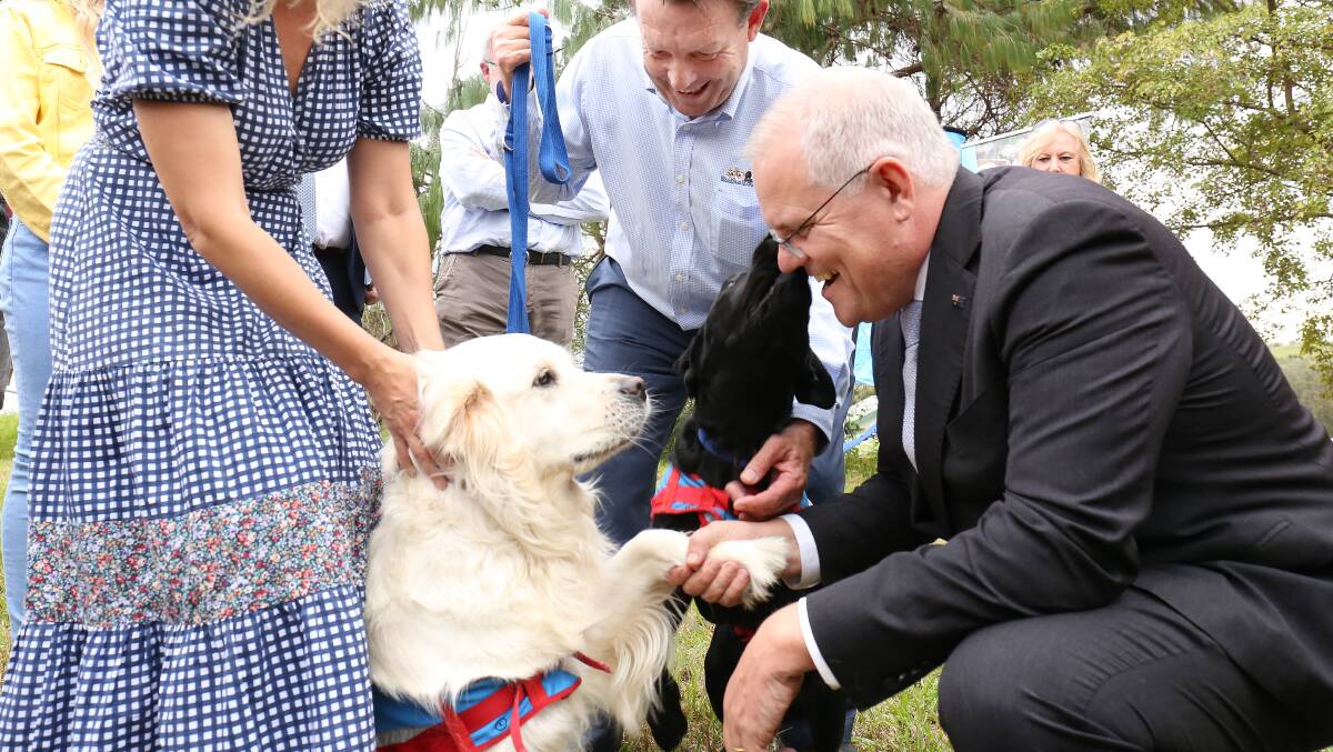 Prime Minister Scott Morrison shakes hands with Shannie the golden retriever. Picture: James Croucher