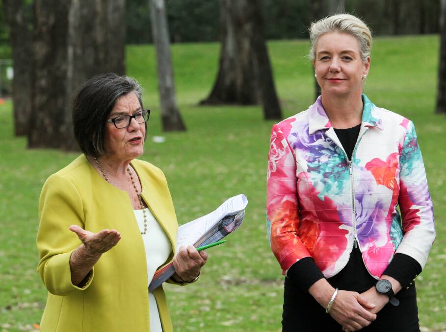 ANNOUNCEMENT: Cathy McGowan and Bridget McKenzie at Sunday's headspace announcement in Wangaratta. Senator McKenzie said the service should be running by early next year. Picture: BLAIR THOMSON