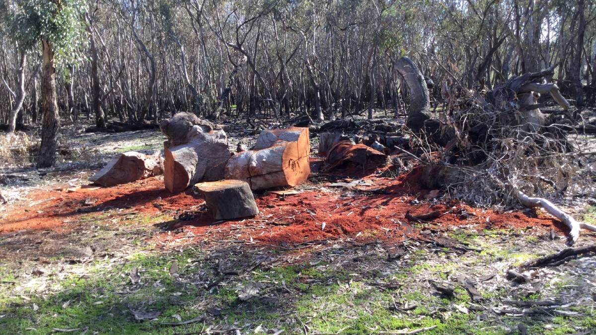 ILLEGALLY CLEARED: Firewood cleared in the North East during the operation, which a Parks Victoria spokesman says destroys important habitat for a range of animals. 