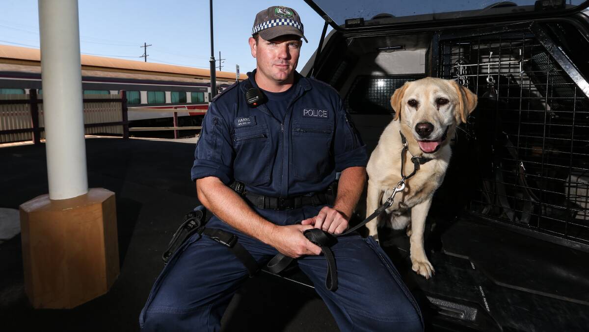 OPERATION: Senior Constable Karl Harris with a sniffer dog at Albury train station. Police warn the dogs will be used without warning at Albury venues to target drugs. 