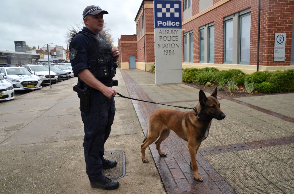 ARRESTS: Police dog Dravec and handler Senior Constable Dave Cole, pictured outside Albury Police Station recently. The dog squad has been involved in the operation.