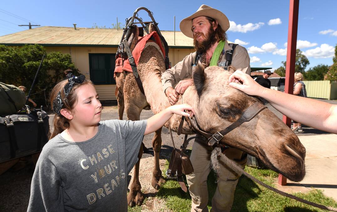 JOURNEY: Shae Holt, 9, pats Mr Elliott's camel, which is undertaking a journey across the nation. Mr Elliott left for Yackandandah after the Tangambalanga stop. 